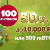 Бонус по пятницам от Playamo casino