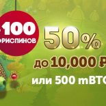 Бонус по пятницам от Playamo casino